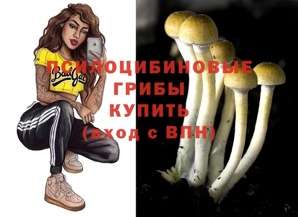 бутират Армянск